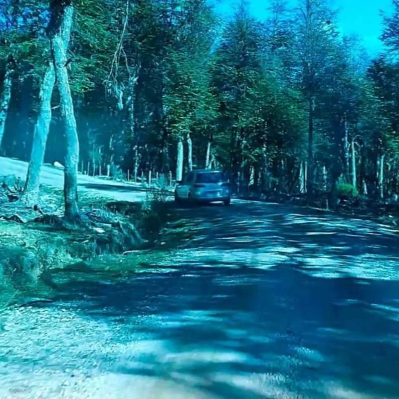 Terreno en Venta en Cochrane