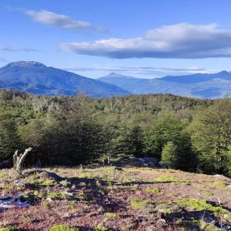 Terreno en Venta en Cochrane