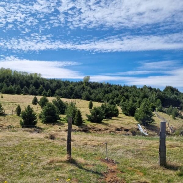 Terreno en venta en Mirador Panguilemu - Coyhaique